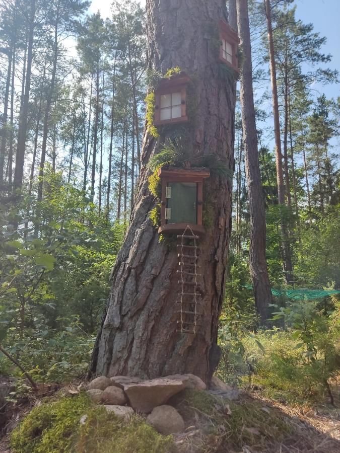 Domki Przy Lipowej 14 Luka Eksteriør bilde